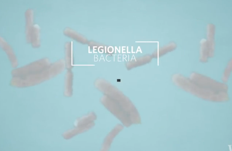 Video Thumbnail Image (Guest Dead after Legionnaires' Disease Bacteria Found at Hotel) Guest Dead after Legionnaires' Disease Bacteria Found at Hotel